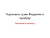 Кормовые травы. Введение в культуру