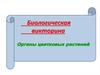 Биологическая викторина. Органы цветковых растений (6 класс)