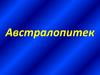 Австралопитек - род ископаемых высших приматов