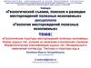 Геологические структуры месторождений полезных ископаемых. Формы рудных тел, условия их залегания и внутреннее строение