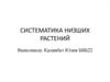 Систематика низших растений