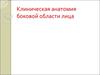 Клиническая анатомия боковой области лица