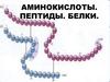 Аминокислоты. Пептиды. Белки
