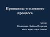 Принципы уголовного процесса