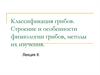 Классификация грибов. Строение и особенности физиологии грибов, методы их изучения