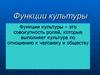 Функции культуры