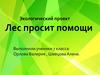Экологический проект. Лес просит помощи