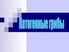 Патогенные грибы. Обзор микозов