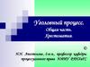 Понятие и назначение российского уголовного процесса
