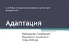 Адаптация теориясы