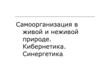 Самоорганизация в живой и неживой природе. Кибернетика. Синергетика
