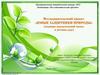Проект "Юные защитники природы" (создание экологической тропы в детском саду)