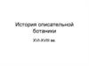 История описательной ботаники XVI-XVIII веков