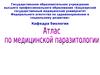 Атлас по медицинской паразитологии