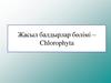 Жасыл балдырлар бөлімі – Chlorophyta
