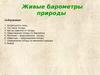 Живые барометры природные
