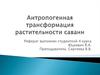 Антропогенная трансформация растительности саванн