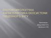 Екотоксикологічна характеристика екосистеми Південного Бугу