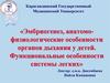 Эмбриогенез, анатомо-физиологические особенности органов дыхания у детей. Функциональные особенности системы легких