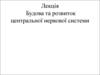 Будова та розвиток центральної нервової системи