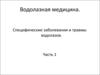 Специфические заболевания и травмы водолазов (часть 1)
