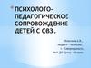 Психолого-педагогическое сопровождение детей с ОВЗ. МАУ ДО центр «Остров»