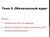 Обязательный аудит. (Тема 5)