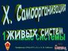 Самоорганизация и происхождение живых систем