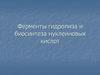 Ферменты гидролиза и биосинтеза нуклеиновых кислот