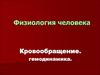 Физиология человека. Кровообращение. Гемодинамика
