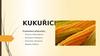 Obecná charakteristika světové rozšíření kukuřice je jedná z nejrozšířenějších plodin