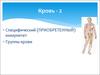 Специфический (приобретенный) иммунитет. Группы крови