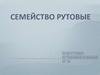 Семейство Рутовые