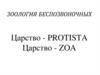Зоология беспозвоночных. Царство - Рrotista. Царство - Zoa
