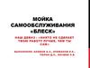 Мойка самообслуживания «Блеск» (бизнес-модель)