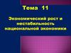 Экономический рост и нестабильность национальной экономики
