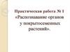 Распознавание органов у покрытосеменных растений