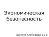 Экономическая безопасность