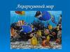 Аквариумный мир