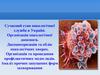 Сучасний стан онкологічної служби в Україні. Організація онкологічної допомоги. Диспансеризація та облік онкологічних хворих
