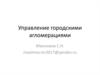 Управление городскими агломерациями