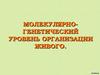 Молекулярно-генетический уровень организации живого