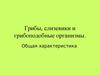 Грибы, слизевики и грибоподобные организмы
