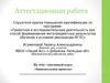 Аттестационная работа.  «Занимательные проекты»