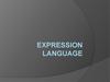 Expression language