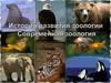 История развития  зоологии. Современная зоология