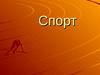 Спорт