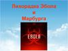 Лихорадка Эбола и Марбурга