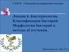 Бактериология. Классификация бактерий. Морфология бактерий и методы её изучения