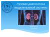 Лучевая диагностика выделительной системы
